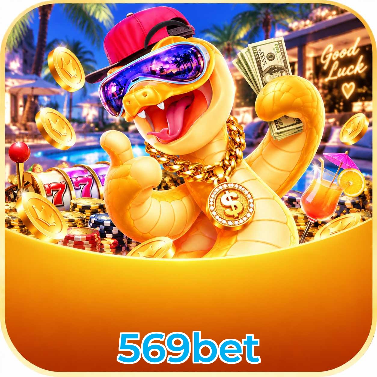 Programa VIP 569bet com cashback e benefícios exclusivos
